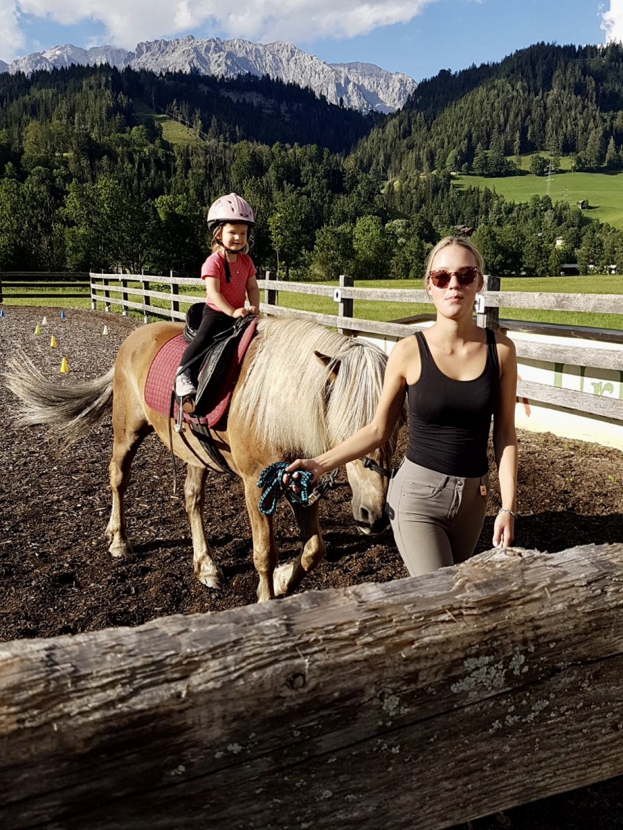 Unsere gutmütigen Pferde am Heißhof